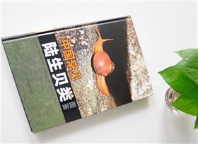 陸生貝類  精裝畫(huà)冊(cè)印刷出版